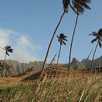 Cape Verdean
