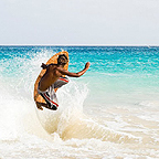 Cape Verdean
