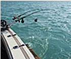 Sea Fishing