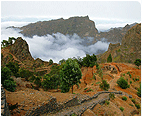 Trekking